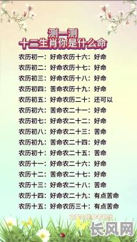 自己看不了自己的命格，为何无法洞察命运之谜？