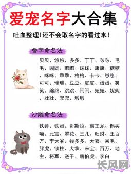 猫咪属五行什么命格，该如何取名？这些名字又有什么含义？
