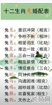 八字中命指什么生肖呢？这个生肖对我的命运有何影响？
