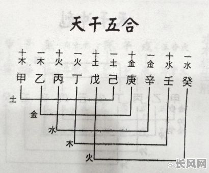 八字命理学说之甲木精论：甲木命理特点有哪些？如何深入理解？