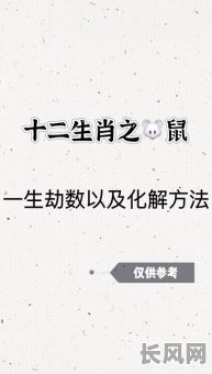 属鼠的生辰八字命理有哪些特点？如何解读属鼠人的命运？