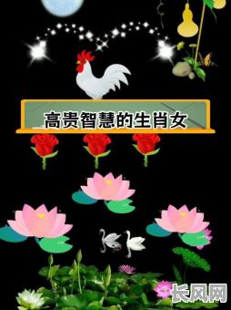 哪些生肖女注定是铁公鸡命格，这样的性格特点有哪些？