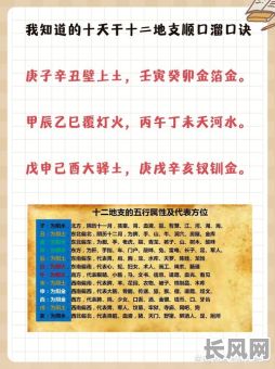 八字命排已西丁卯丙午壬辰，这究竟意味着什么？