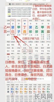 如何通过八字分析丁酉日出生的男性命运特点？
