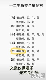 兔的命与狗八字如何准确计算？