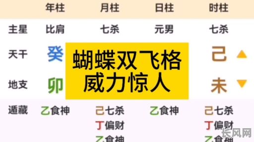 壬寅年双飞蝴蝶命格究竟有何独特之处？