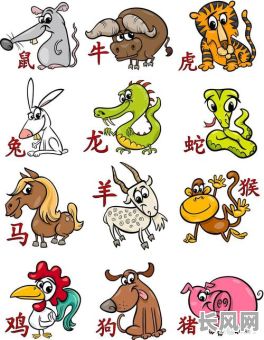 动物面相能看出哪些命格？面相分析中动物面相预示着什么命格？