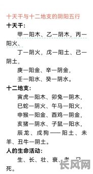 八字天干相合的原命局是如何形成的？有哪些特点？