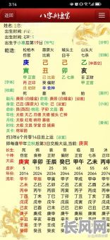 《状元命理八字分析详解书》中，如何全面掌握八字命理分析技巧？