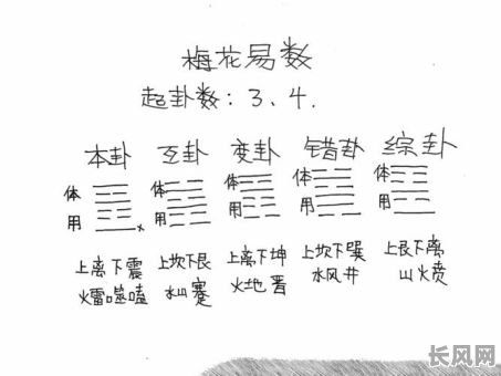 八字梅花命格详解：如何深入理解八字梅花命格的奥秘？