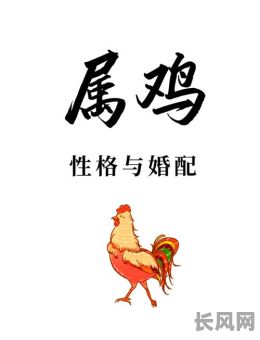 属小鸡的人的命格是怎样的？他们的命运特点有哪些？