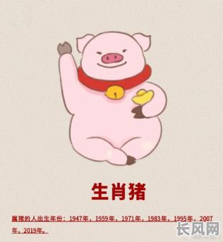 2025年属猪人考科三六月吉日：精选吉日助你顺利通过考试