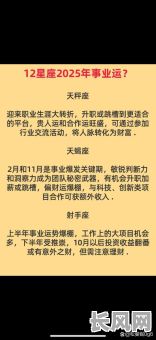 2025年双子座男性12月最佳上任吉日,职场晋升好运指南