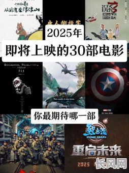 2025年熊出没的吉日是哪几天？详细解析与查询