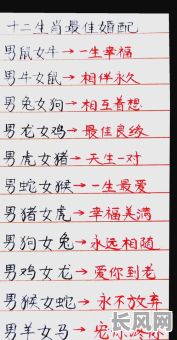 2025年男属马女属猴最佳婚配吉日：生肖配对与吉日选择