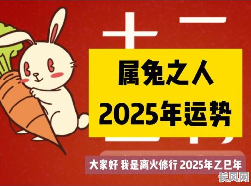 2025年鼠兔属相11月最佳吉日提新车，精选良辰吉日助力顺利出行