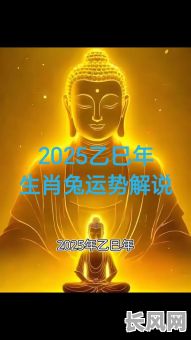2025年属兔人相亲最佳黄道吉日，提升缘分成功率