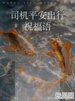 11月最佳出行吉日推荐，助您旅途顺利平安，不容错过！