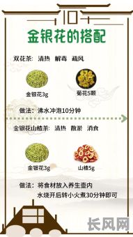 茶道吉日金银花：探索传统茶道与吉祥花卉的完美结合