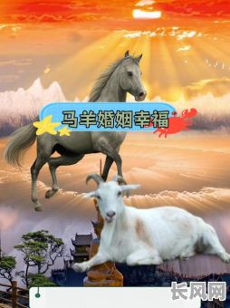 最佳属马与属羊的结婚吉日推荐及选择指南