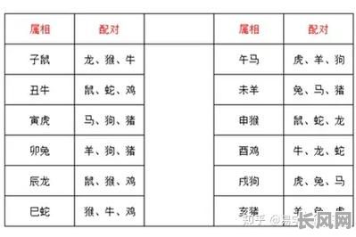如何选择避开属相冲犯的结婚吉日？