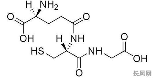 吉日康肽有什么作用？全面解析其功效与功效原理