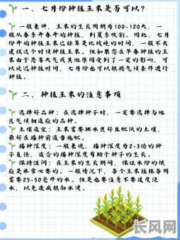 玉米栽种吉日那天：详解如何选择最佳播种时间，提升丰收几率