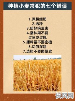 农事吉日：想除草选个吉日，把握最佳时机促生长