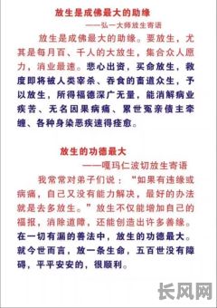 最佳放生吉日查询平台慈心网，助您选吉日放生积德