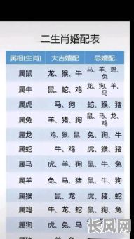 寻找鸡宝宝8月出生吉日，推荐最佳出生选择