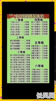 最佳男属虎女属龙结婚吉日推荐，寻找完美婚期必备指南