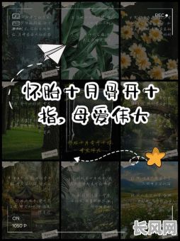 10月产子吉日推荐：寻找十月分娩最佳选择