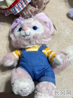 迪士尼乐园小熊历吉日（上海小熊迪士尼之家）