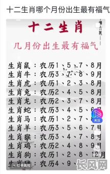 狗年农历十一月出生吉日_农历十一月狗命运怎么样