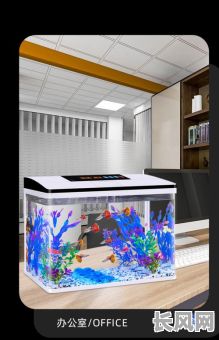 安放鱼缸吉日2025（安鱼缸的黄道吉日2021）