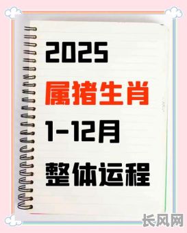 2025年1月养猪吉日-2021年至2023年养猪怎么样