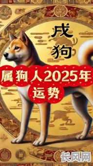 属狗领证吉日2025，2020年属狗结婚登记黄道吉日