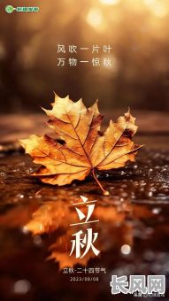 立秋当天黄历吉日-立秋当天黄历吉日