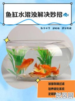 鱼缸注水需要吉日吗/鱼缸注水问题