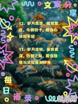 40岁生辰吉日-40岁生日讲究