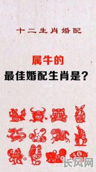 属牛的农历八月搬家吉日/属牛的2021年8月搬家