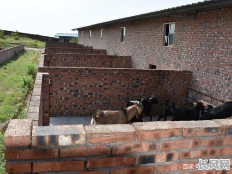 羊圈开门吉日吉时，羊圈的门开在哪个方位吉祥