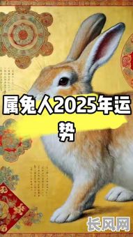 2025属兔正月吉日-2021年正月属兔的那天出行好