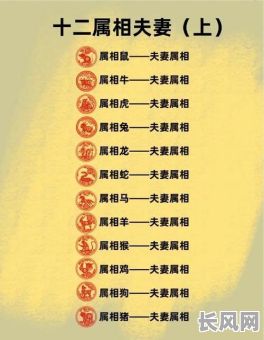 属大龙的婚配怎样选吉日（属大龙配什么属性最佳）