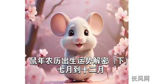 鼠年12月出生黄道吉日-鼠年新历12月份出生的宝宝好吗