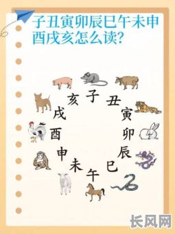 巳寅丑午的吉日有哪些/巳寅丑午的吉日有哪些属相