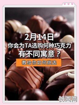 欢喜的吉日巧克力（欢喜的吉日巧克力是什么歌）