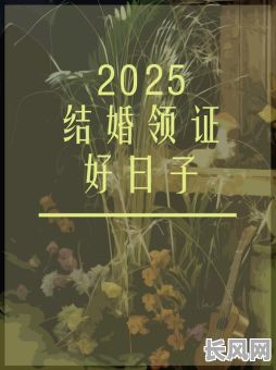 930良辰吉日（良辰吉日911）