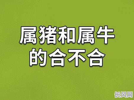 属猪和属牛订婚吉日是_属猪和属牛订婚吉日是什么