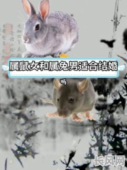 属鼠和属兔的人结婚吉日，属鼠和属兔结婚会怎样